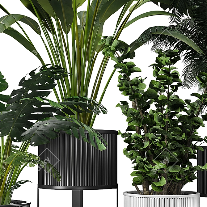 Urban Jungle: Modern Indoor Plant 3D model image 4