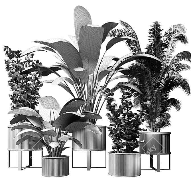 Urban Jungle: Modern Indoor Plant 3D model image 5