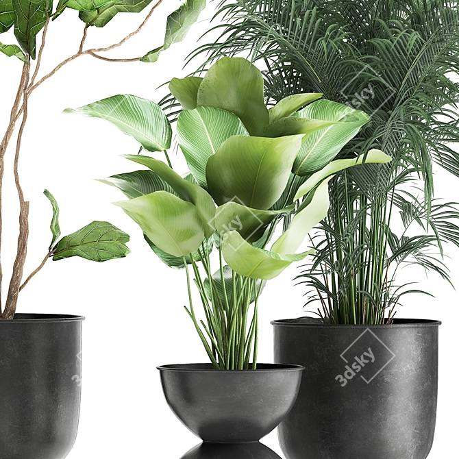 Exotic Plant Collection in Stylish Metal Pots 3D model image 3