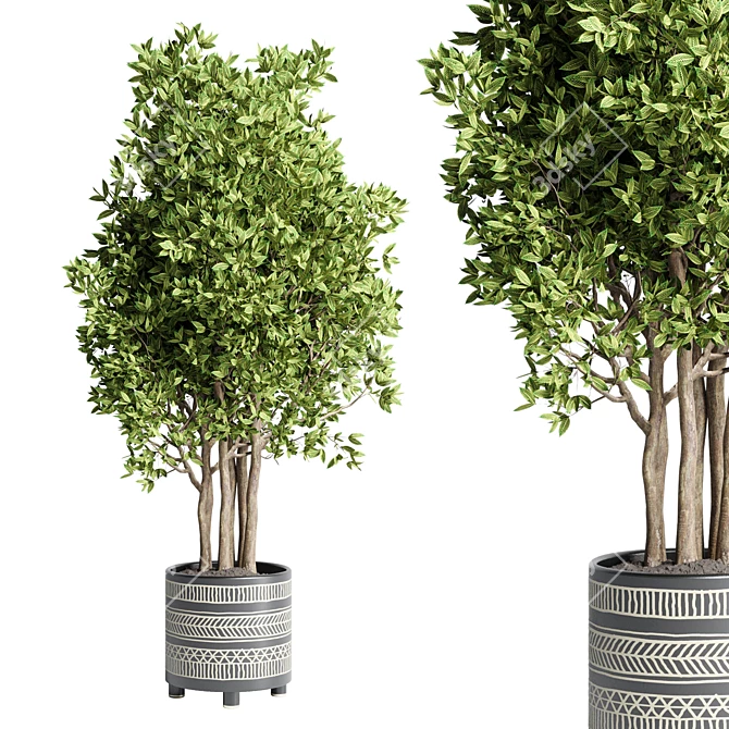 Handmade Pottery Ficus Benjamin Tree: Indoor Plant Collection 3D model image 1