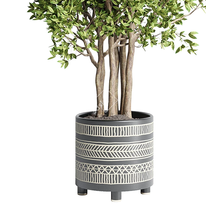 Handmade Pottery Ficus Benjamin Tree: Indoor Plant Collection 3D model image 2