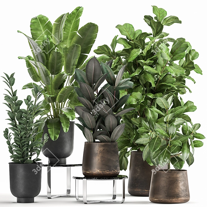 Exotic Plant Collection in Metal Pots 3D model image 1