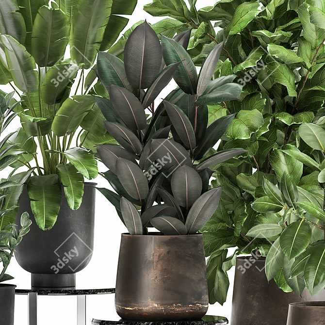 Exotic Plant Collection in Metal Pots 3D model image 3