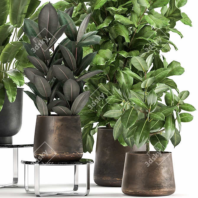 Exotic Plant Collection in Metal Pots 3D model image 4