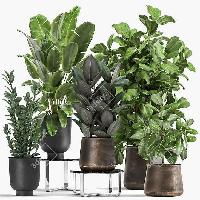 Exotic Plant Collection in Metal Pots 3D model image 6