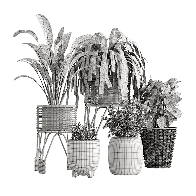 Indoor Oasis Vase Set 3D model image 5