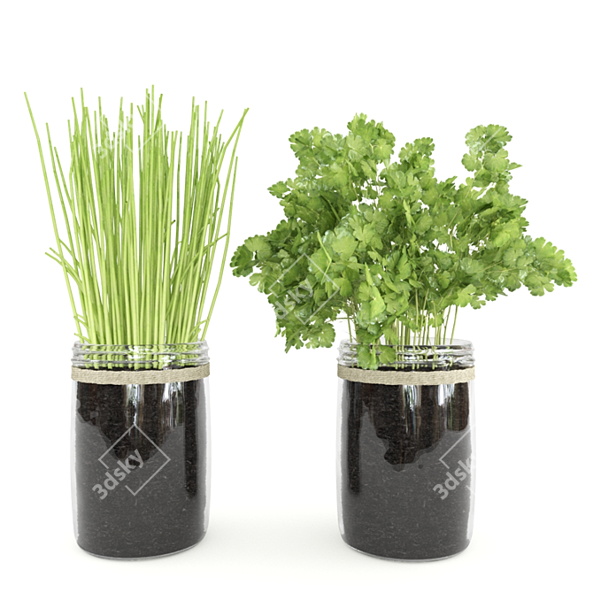 Botanical Bliss Kitchen Plants Set 3D model image 4