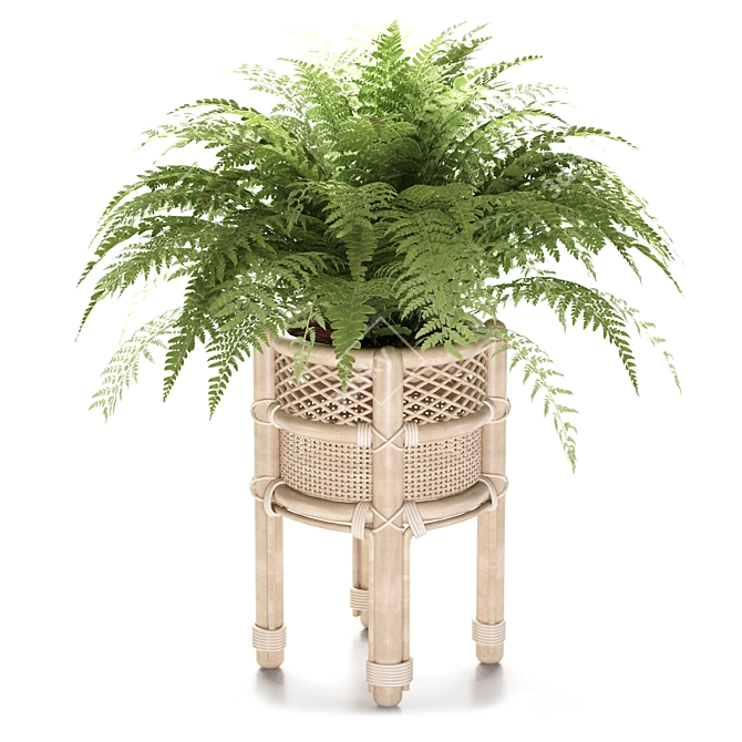 Natural Rattan Fern Pot 3D model image 3