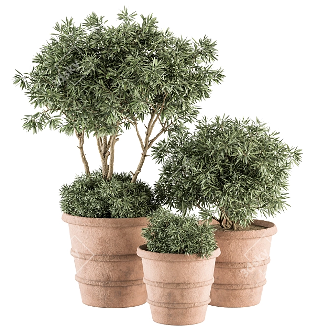 Vintage Pot Plant Set 3D model image 1