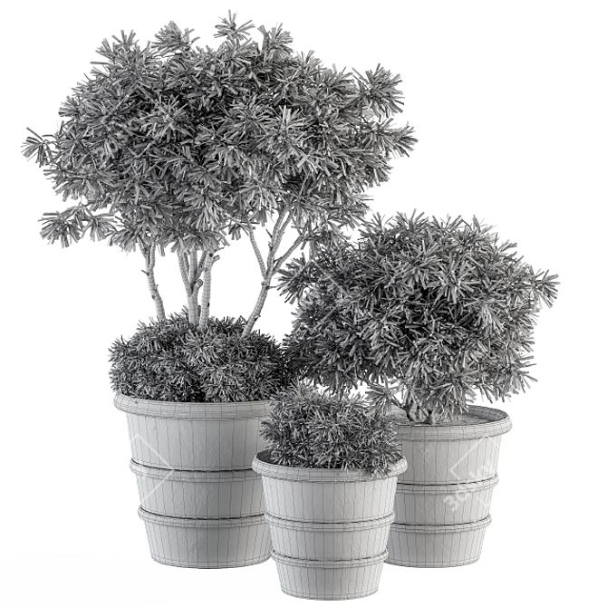 Vintage Pot Plant Set 3D model image 4