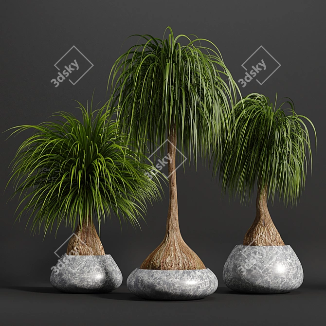 15-Piece Indoor Plant Set 3D model image 1
