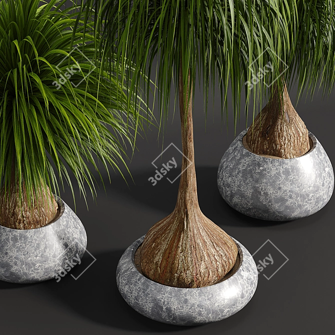 15-Piece Indoor Plant Set 3D model image 2