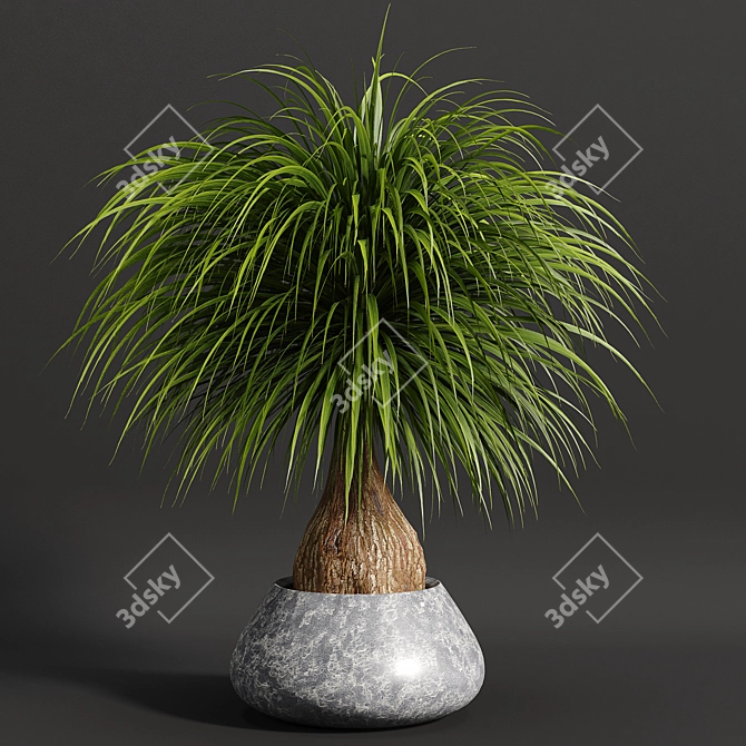 15-Piece Indoor Plant Set 3D model image 3