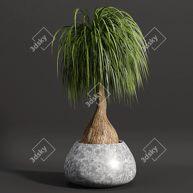 15-Piece Indoor Plant Set 3D model image 4