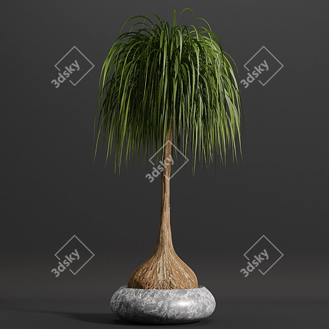 15-Piece Indoor Plant Set 3D model image 5