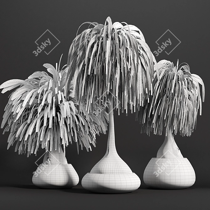 15-Piece Indoor Plant Set 3D model image 6