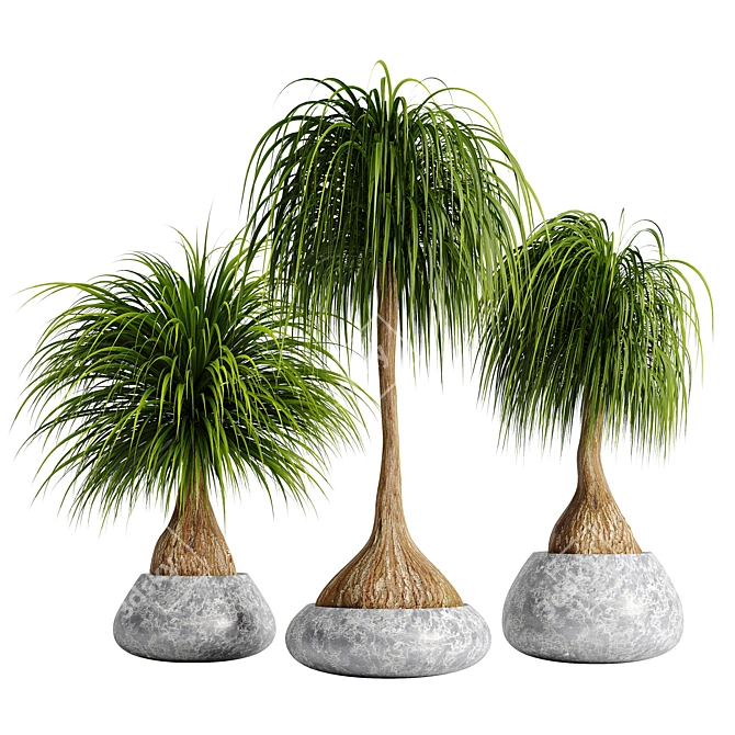 15-Piece Indoor Plant Set 3D model image 7