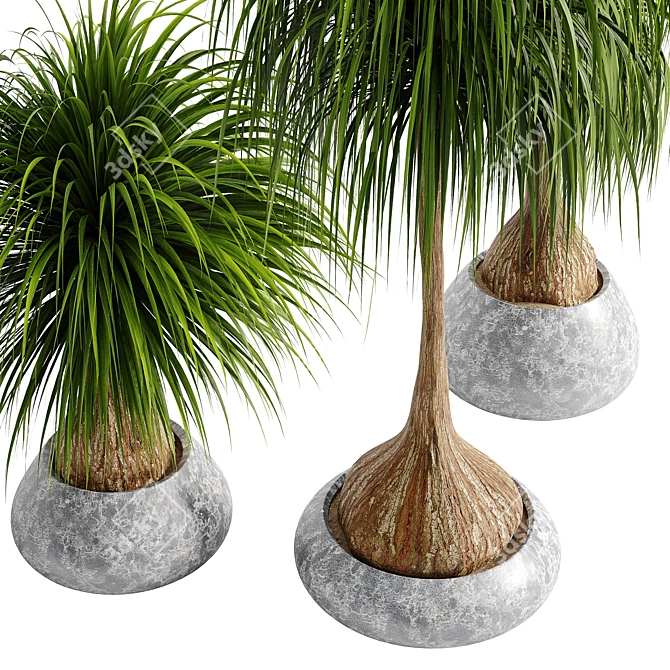 15-Piece Indoor Plant Set 3D model image 8
