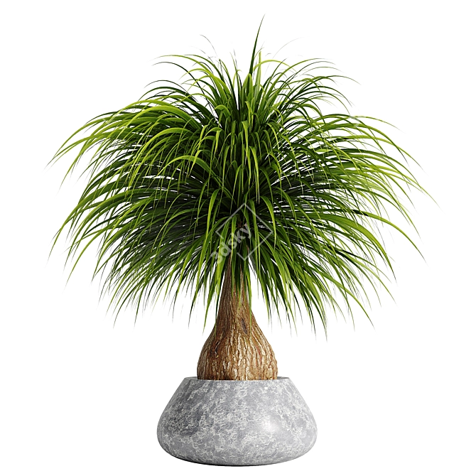 15-Piece Indoor Plant Set 3D model image 9