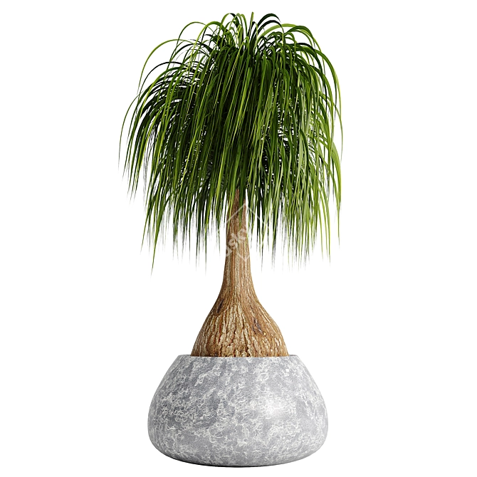 15-Piece Indoor Plant Set 3D model image 10