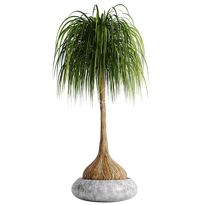 15-Piece Indoor Plant Set 3D model image 11