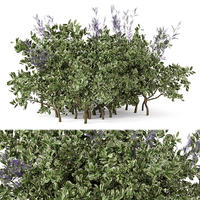 Outdoor Plant Set 257: Enhance Your Outdoor Space 3D model image 2