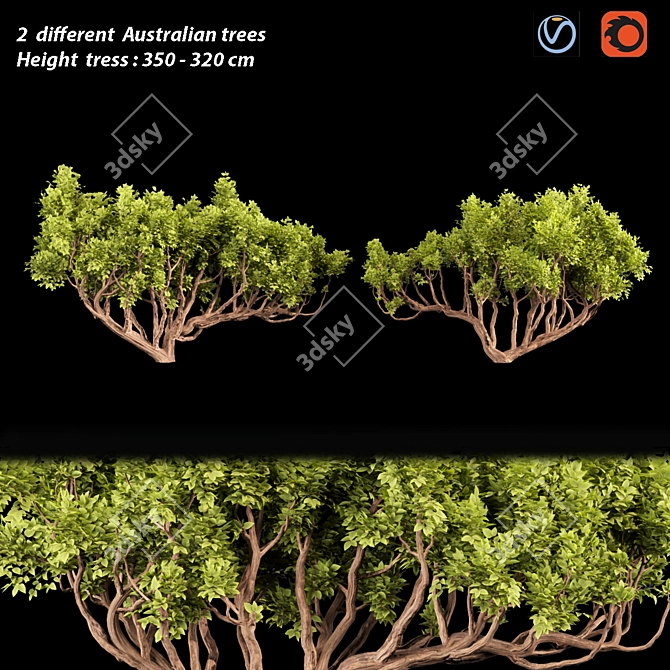 Australian Tree Collection: Vol. 29 3D model image 1