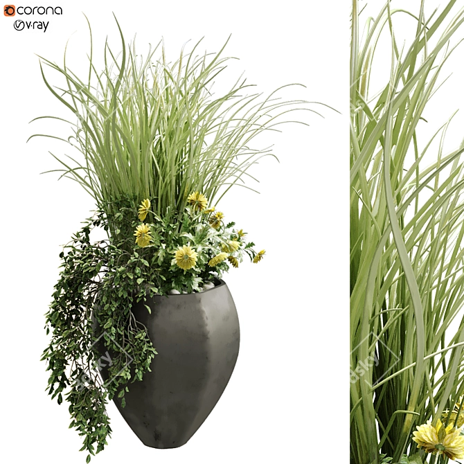 Modern Indoor Plant Set 3D model image 1