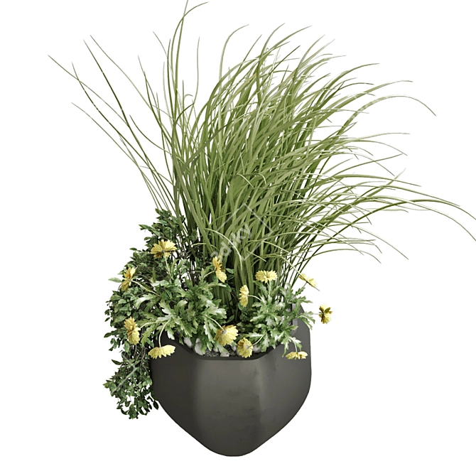 Modern Indoor Plant Set 3D model image 5