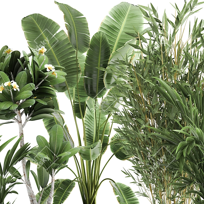 Tropical Oasis: Exotic Plants in Rustic Metal Pots 3D model image 3