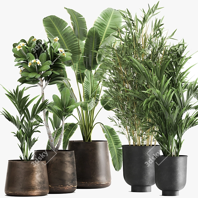 Tropical Oasis: Exotic Plants in Rustic Metal Pots 3D model image 6