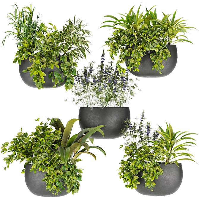 Indoor Houseplants Collection Vol 247 3D model image 1