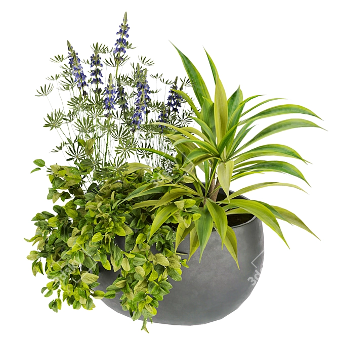 Indoor Houseplants Collection Vol 247 3D model image 3