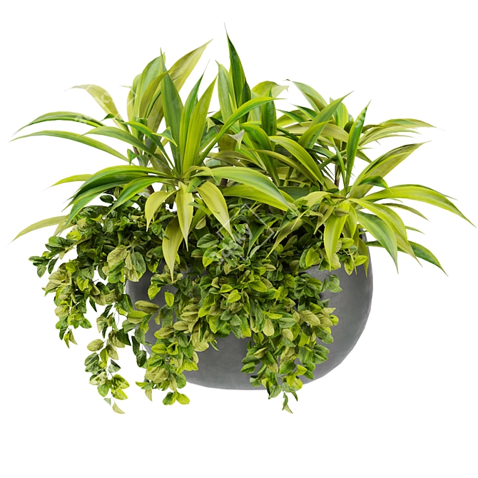 Indoor Houseplants Collection Vol 247 3D model image 5