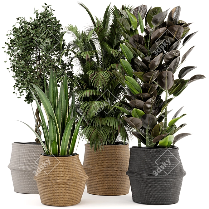 Natural Beauty: Wicker Basket Indoor Plants 3D model image 1