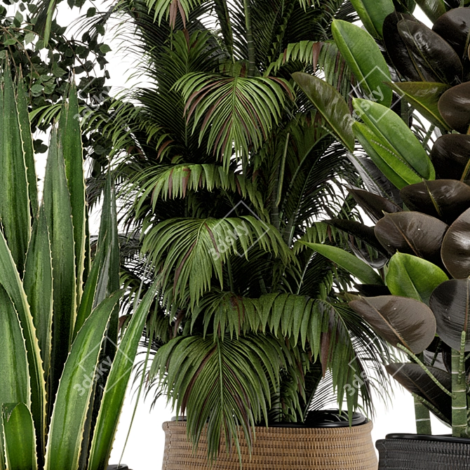 Natural Beauty: Wicker Basket Indoor Plants 3D model image 5