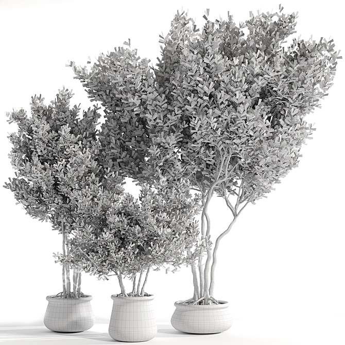 Lush Indoor Plant Collection 3D model image 5