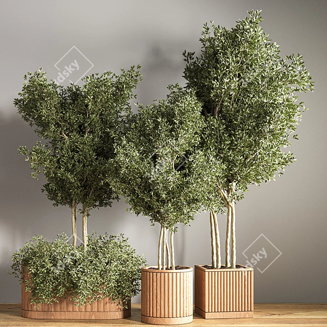 Green Oasis Indoor Plant Set 3D model image 2