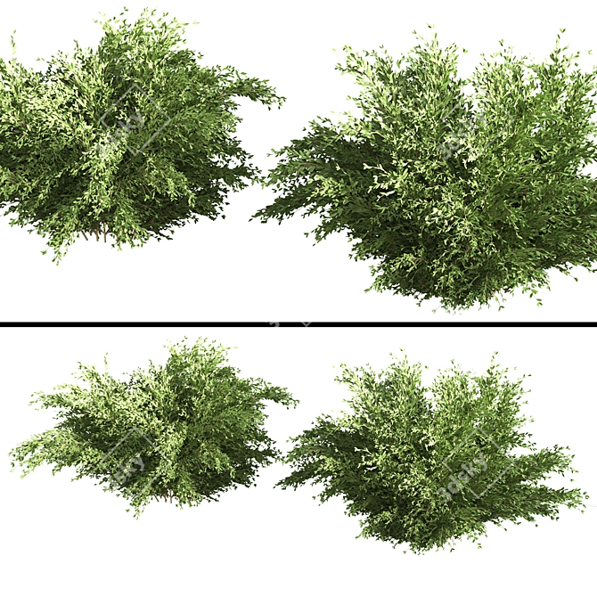 Landscape Bush 01: Versatile, High-Quality Model 3D model image 1