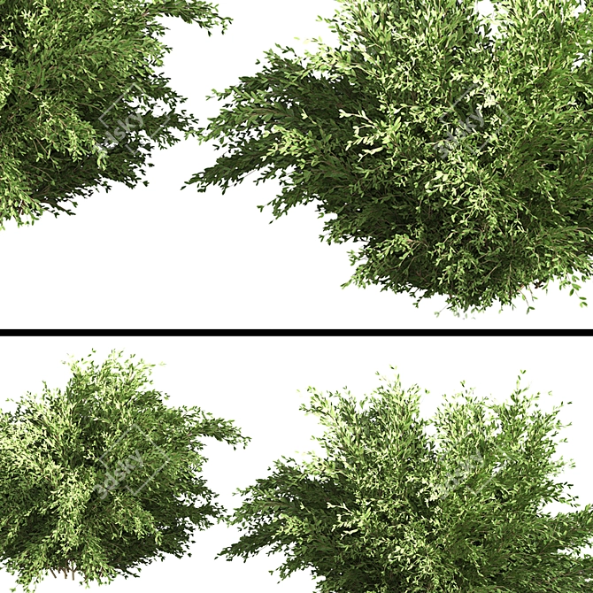 Landscape Bush 01: Versatile, High-Quality Model 3D model image 3