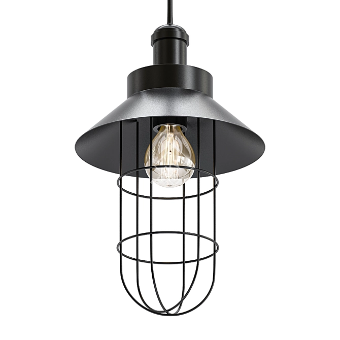 Rustic Cage Pendant Light 3D model image 3