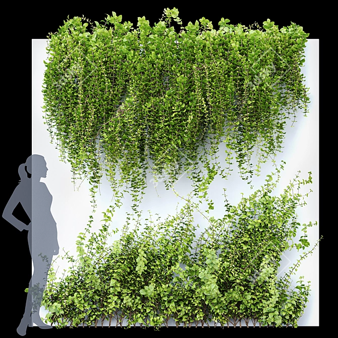 Dazzling Wall Hanging Plants 3D model image 1