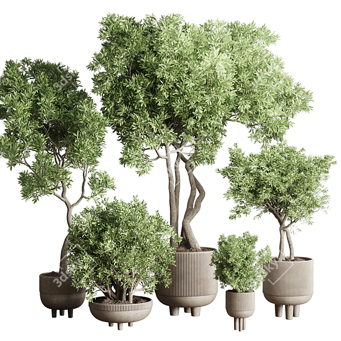 Concrete Pot Collection: Indoor Outdoor Plant Vase 3D model image 2