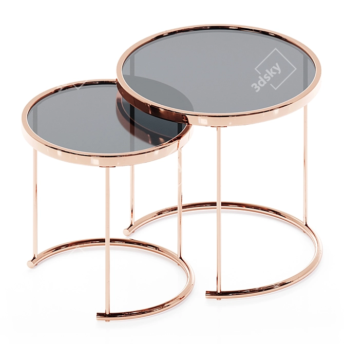 Rose Gold Glass Top Tables 3D model image 4