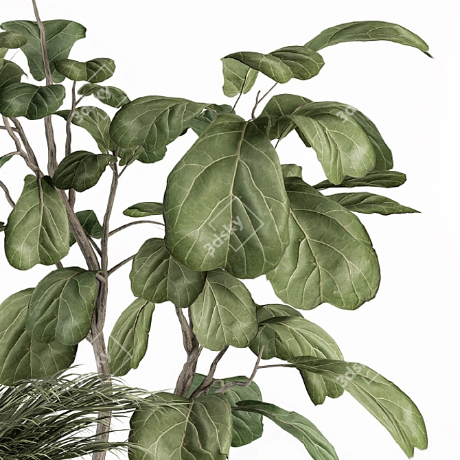 Lush Greenery Indoor Plant Set 3D model image 3
