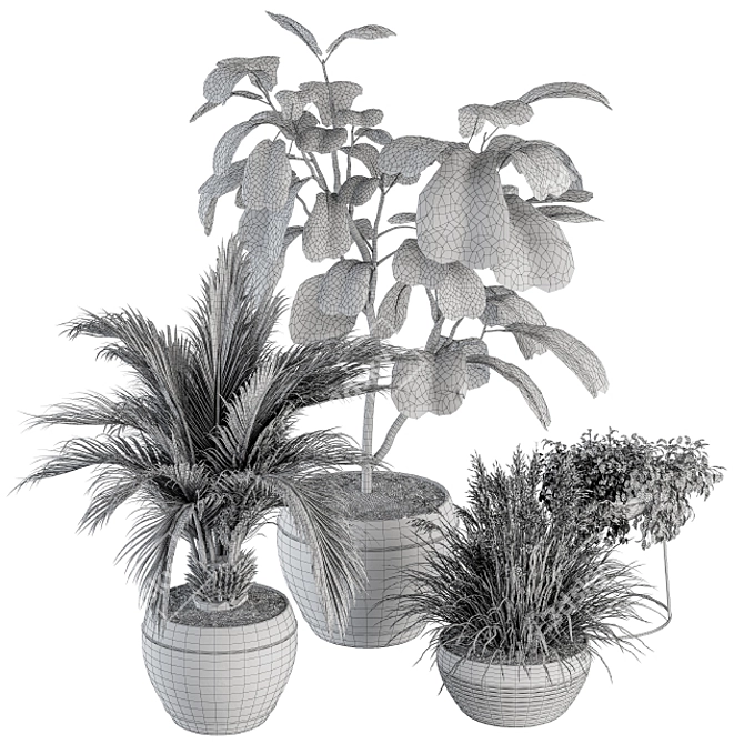 Lush Greenery Indoor Plant Set 3D model image 5