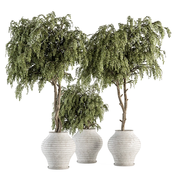 Vintage Pot Plant Set - Outdoor Elegance 3D model image 1