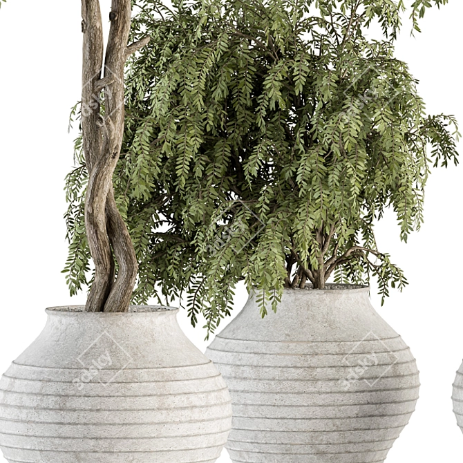Vintage Pot Plant Set - Outdoor Elegance 3D model image 3