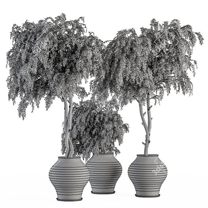Vintage Pot Plant Set - Outdoor Elegance 3D model image 5