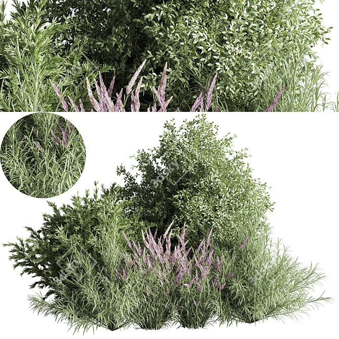 Nature's Blend: Mixed Plant & Bush 3D model image 1